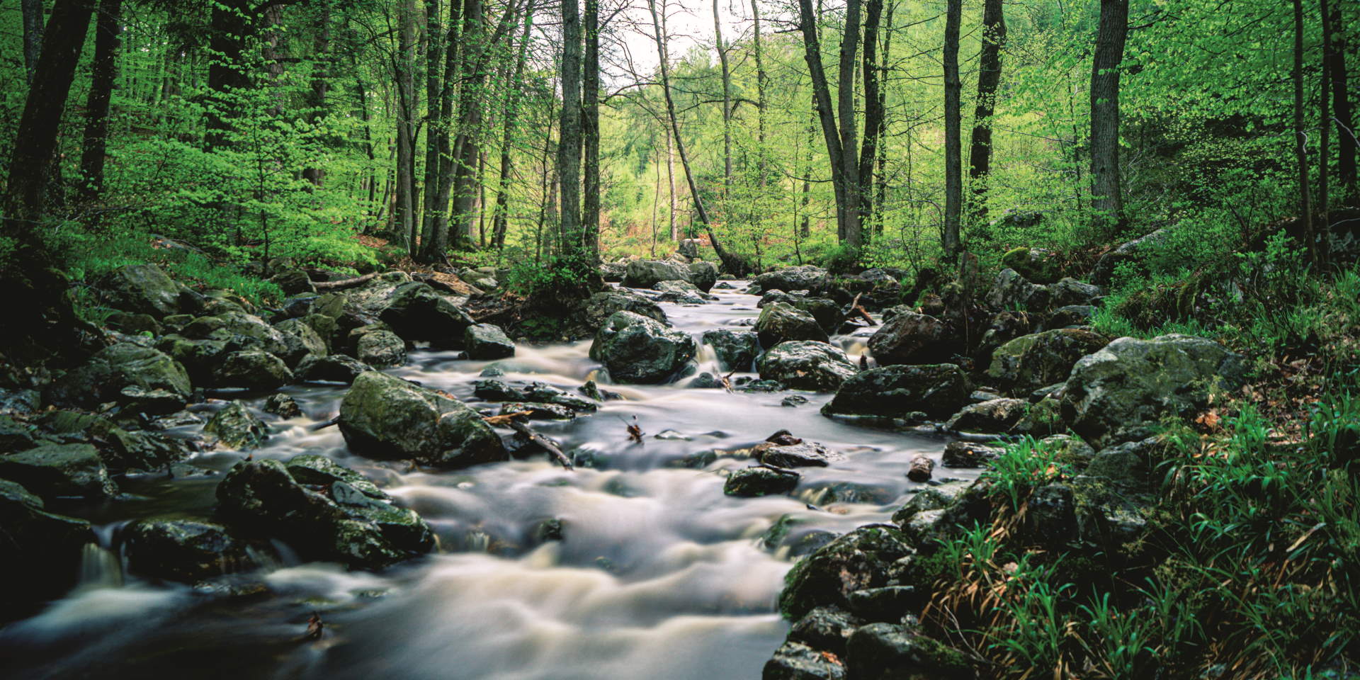 Deutsche Bank steunt River Cleanup