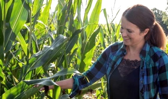 Ferme Cense Seigneuriale - Hélène Louppe